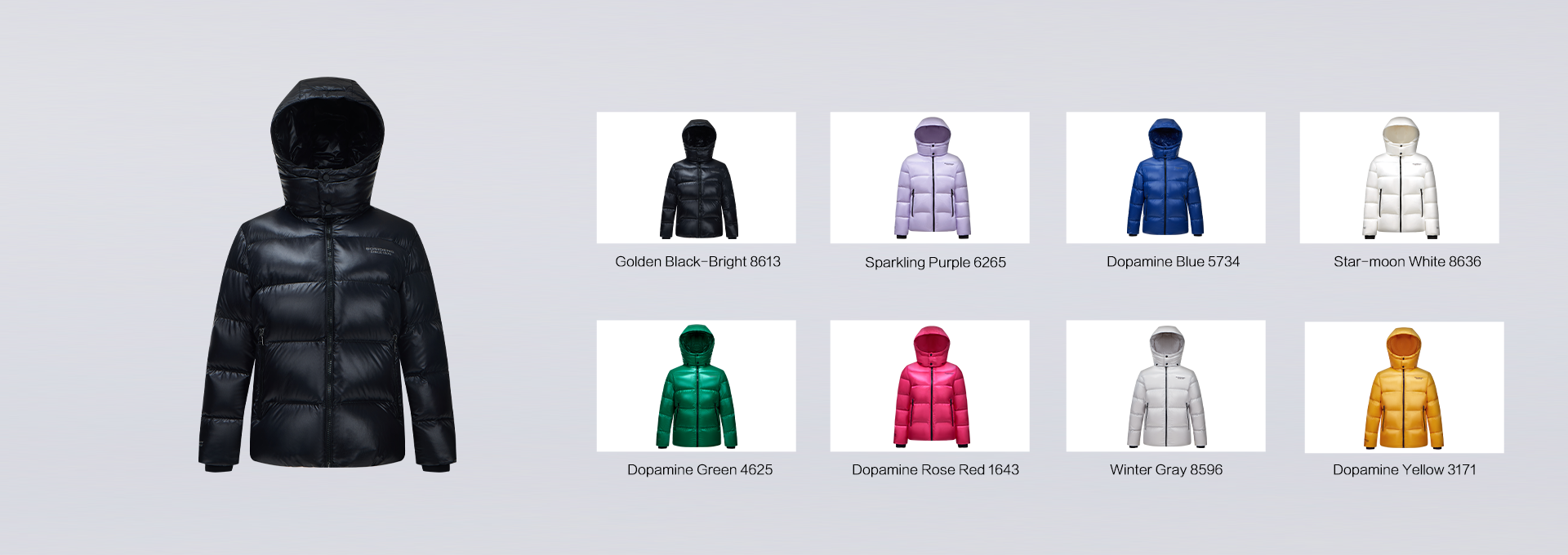 PUFF DOWN JACKET COLLECTION