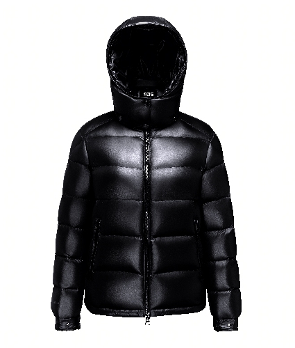 ������ܽ